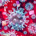چگونه می توانیم از ابتلا به ویروس کرونا پیشگیری کنیم؟