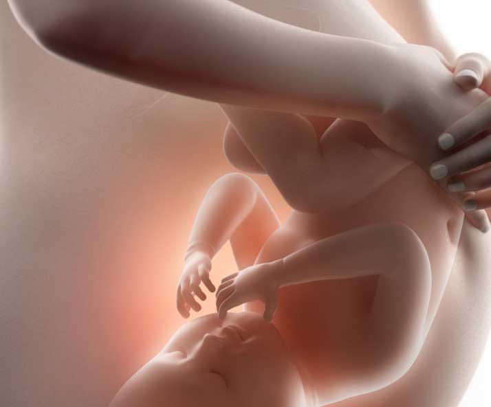 کاهش مصرف کربوهیدرات باعث نارسایی‌های جنینی می‌شود